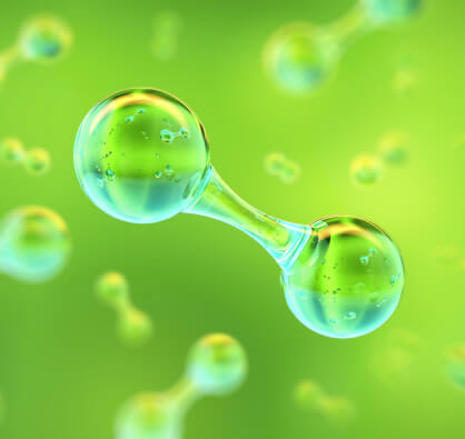 Fuel Cell